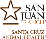 SCAH Portrait Logo